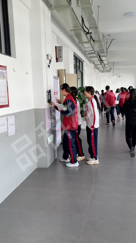 1746670214847253.jpg 1746670214847253.jpg